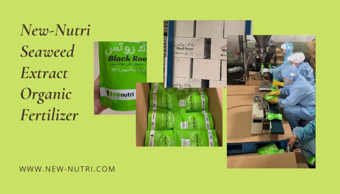 kasus perusahaan terbaru tentang Produk Khusus - Paket 250g Pupuk Organik Rumput Laut dalam Produksi
