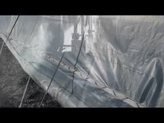 Butiran kalium humat/natrium humat