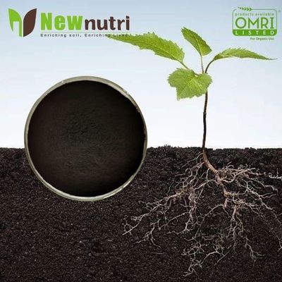 5% Phosphorus 16% Alginic Acid Powdered Seaweed Fertilizer
