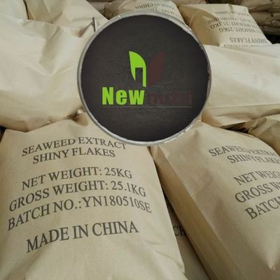 5% Phosphorus 16% Alginic Acid Powdered Seaweed Fertilizer