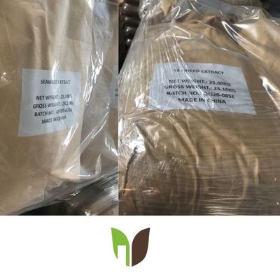 PH8 Shiny Flakes 45% Organic Matter Soluble Seaweed Extract