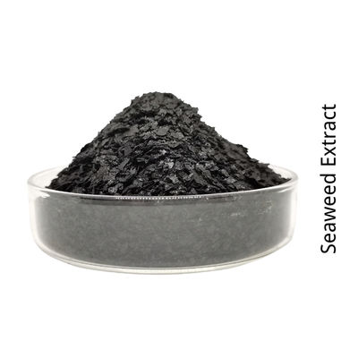 Naturally Beneficial Mineral Source Seaweed Extract Powder Fertilizer OMRI