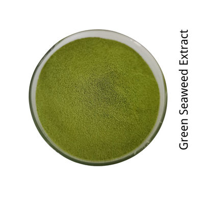 Naturally Beneficial Mineral Source Seaweed Extract Powder Fertilizer OMRI