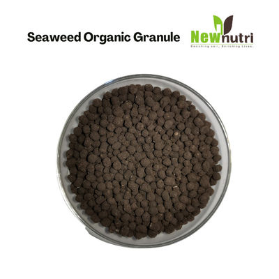 Slow Release 5.5% NPK 4% Alginic Acid Seaweed Extract Powder