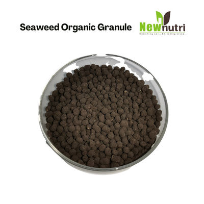 Slow Release 5.5% NPK 4% Alginic Acid Seaweed Extract Powder