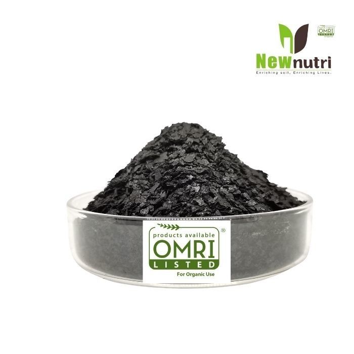 2% Trace Element 1% Nitrogen Soluble Kelp Powder